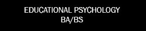 Bachelor Program
