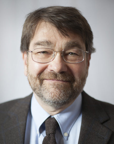 Dan Woltz, Professor